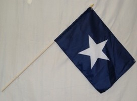 12" x 18" Bonnie blue Stick  Flag on 24" Staff DZ 