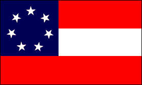 HBS 142 1ST NATIONAL CONFEDERATE FLAG 
