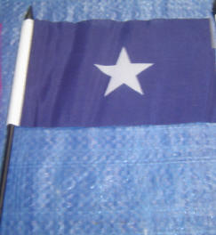4" x 6" stick flags Bonnie Blue DZ 