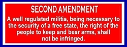 B139 2ND AMENDMENT-KEEP & BEAR ARMS NOT BE INFRINGED 