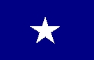 Cotton Sewn  Bonnie Blue Confederate Flag 