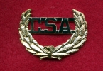 CSA Officers Hat Insigna Wreath Pin With CSA Insert Sold by piece 