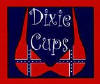 S142 DIXIE CUPS (Girl in Rebel Flag Bra Top) 