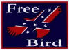 S126  FREE BIRD w/CONFEDERATE FLAG INSIDE EAGLE 