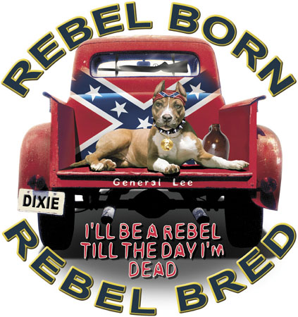 P316 Rebel Born, Rebel Bred 
