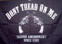 Black 2nd Amendment 3x5 Poly Flag 
