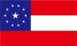 First National 11 Star Polyester Flag 3x5 