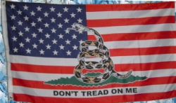 Gasden Dont Tread on Me Snake on US Flag 
