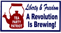 HBS 212   "Tea Party Patriot" "Liberty & Freedom A Revolution is Brewing" 