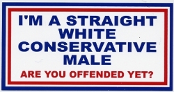HBS 243 Im A Straitght , Consevative Male 