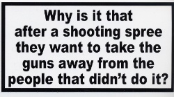 HBS 246 Why is it that after a shooting spree 