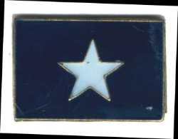 HP4847 Bonnie  Blue Flag Dozen 