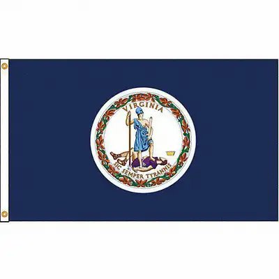 VIRGINIA STATE FLAG POLY PRINTED 3X5 