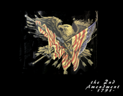 Blanket Fleece 2nd Amendment 