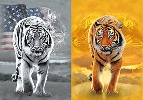 3D Picture Tiger 