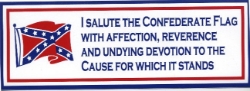 I Salute The Confederate Flag B136 by the Dozen 