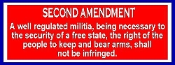 B139 2ND AMENDMENT-KEEP & BEAR ARMS NOT BE INFRINGED 