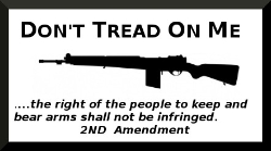 HBS 257 Dont Tread On Me Assult Weapon 