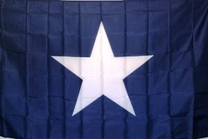 Bonnie Blue Printed Poly Flag 3'x5'