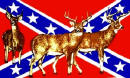 BUCKS ON CONFEDERATE Flag 