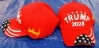 Ft 700 Trump 2028 with Signature on side 