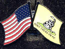 HP 6020 US & Gadsden Crossed Lapel Pin Dozen 