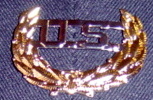 US Officers Hat Insigna Wreath Pin. Sold by piece 